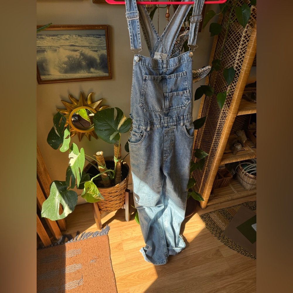 Free people ziggy overalls